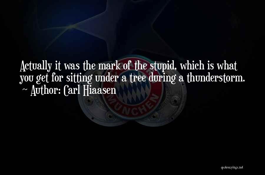 Carl Hiaasen Quotes: Actually It Was The Mark Of The Stupid, Which Is What You Get For Sitting Under A Tree During A