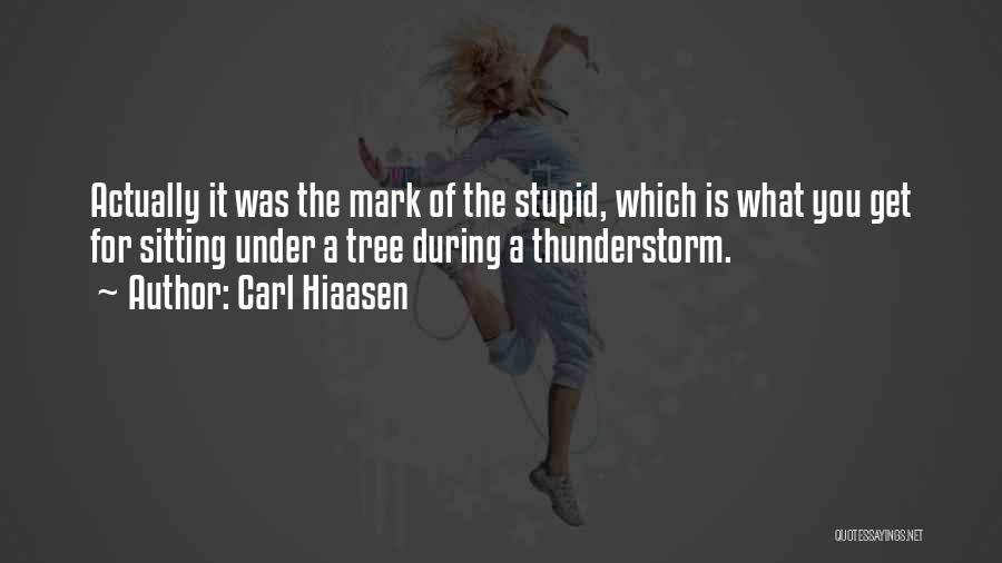 Carl Hiaasen Quotes: Actually It Was The Mark Of The Stupid, Which Is What You Get For Sitting Under A Tree During A