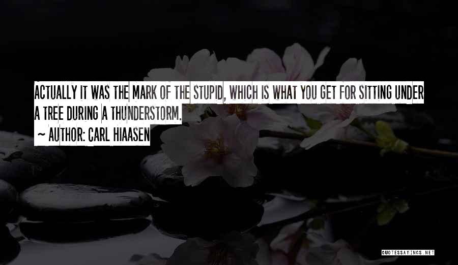 Carl Hiaasen Quotes: Actually It Was The Mark Of The Stupid, Which Is What You Get For Sitting Under A Tree During A