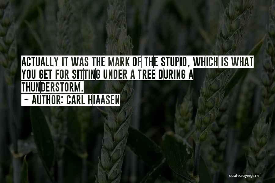 Carl Hiaasen Quotes: Actually It Was The Mark Of The Stupid, Which Is What You Get For Sitting Under A Tree During A