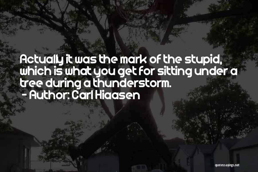 Carl Hiaasen Quotes: Actually It Was The Mark Of The Stupid, Which Is What You Get For Sitting Under A Tree During A