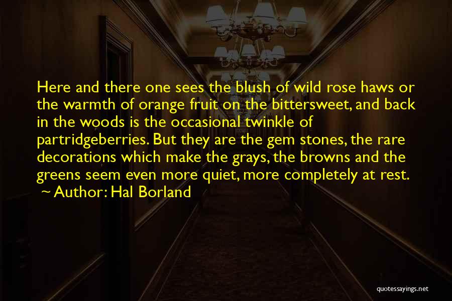 Hal Borland Quotes: Here And There One Sees The Blush Of Wild Rose Haws Or The Warmth Of Orange Fruit On The Bittersweet,