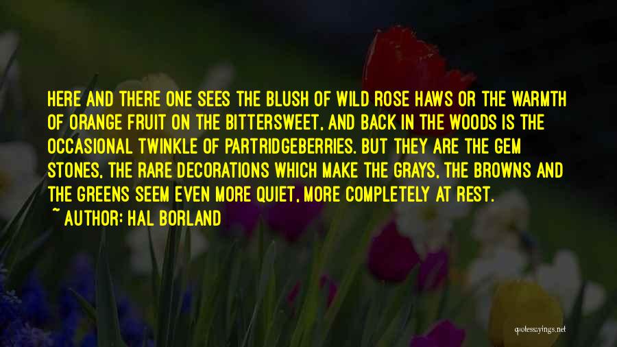 Hal Borland Quotes: Here And There One Sees The Blush Of Wild Rose Haws Or The Warmth Of Orange Fruit On The Bittersweet,