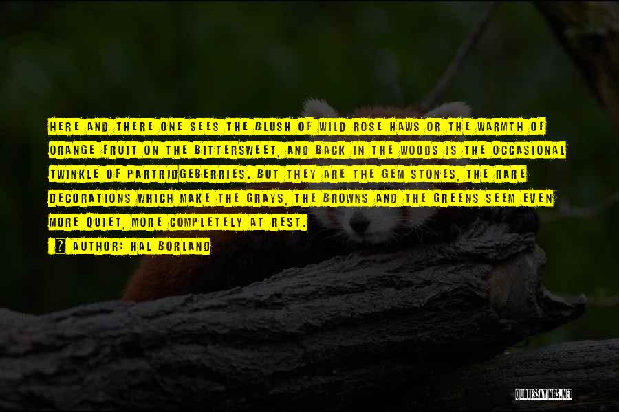 Hal Borland Quotes: Here And There One Sees The Blush Of Wild Rose Haws Or The Warmth Of Orange Fruit On The Bittersweet,