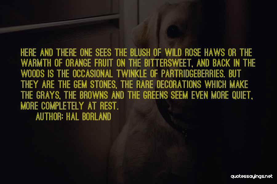 Hal Borland Quotes: Here And There One Sees The Blush Of Wild Rose Haws Or The Warmth Of Orange Fruit On The Bittersweet,