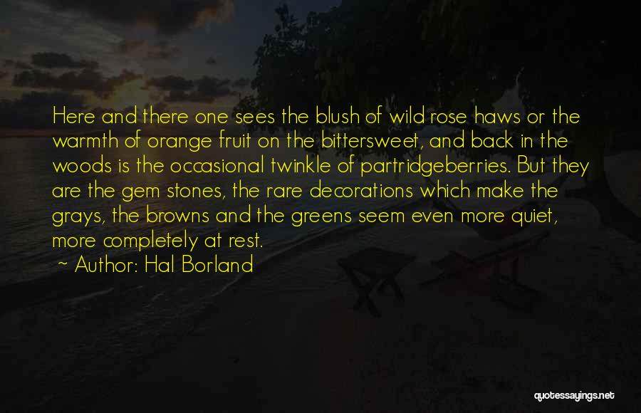 Hal Borland Quotes: Here And There One Sees The Blush Of Wild Rose Haws Or The Warmth Of Orange Fruit On The Bittersweet,