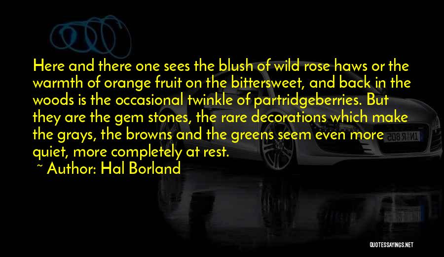 Hal Borland Quotes: Here And There One Sees The Blush Of Wild Rose Haws Or The Warmth Of Orange Fruit On The Bittersweet,