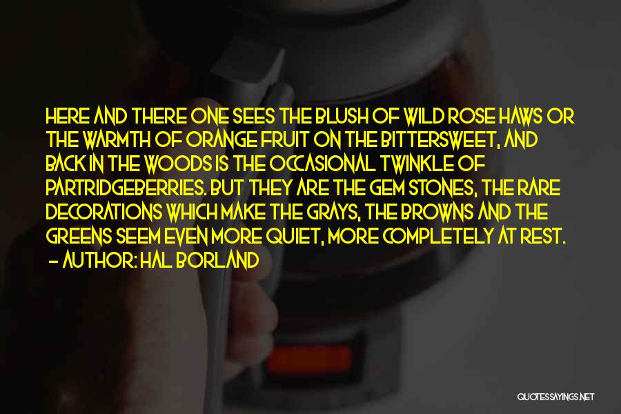 Hal Borland Quotes: Here And There One Sees The Blush Of Wild Rose Haws Or The Warmth Of Orange Fruit On The Bittersweet,