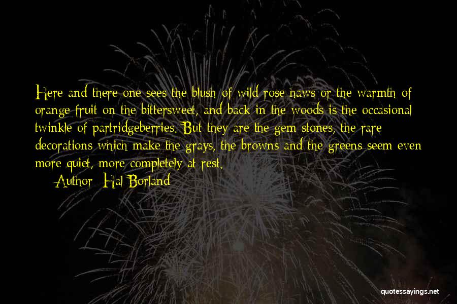 Hal Borland Quotes: Here And There One Sees The Blush Of Wild Rose Haws Or The Warmth Of Orange Fruit On The Bittersweet,