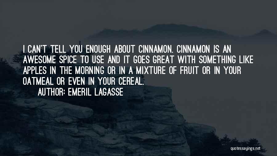 Emeril Lagasse Quotes: I Can't Tell You Enough About Cinnamon. Cinnamon Is An Awesome Spice To Use And It Goes Great With Something