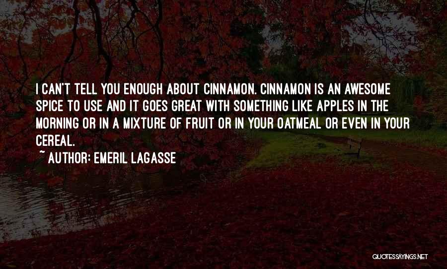 Emeril Lagasse Quotes: I Can't Tell You Enough About Cinnamon. Cinnamon Is An Awesome Spice To Use And It Goes Great With Something