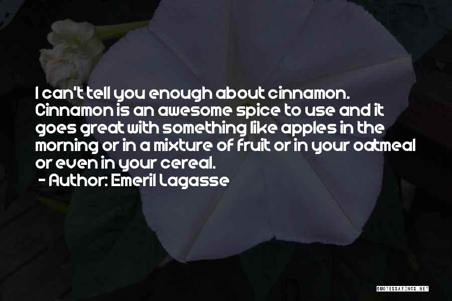 Emeril Lagasse Quotes: I Can't Tell You Enough About Cinnamon. Cinnamon Is An Awesome Spice To Use And It Goes Great With Something