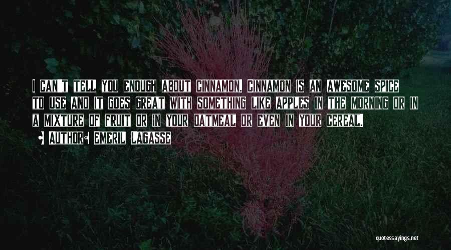 Emeril Lagasse Quotes: I Can't Tell You Enough About Cinnamon. Cinnamon Is An Awesome Spice To Use And It Goes Great With Something