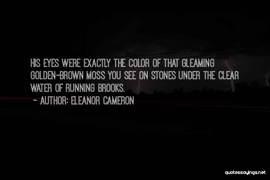 Eleanor Cameron Quotes: His Eyes Were Exactly The Color Of That Gleaming Golden-brown Moss You See On Stones Under The Clear Water Of