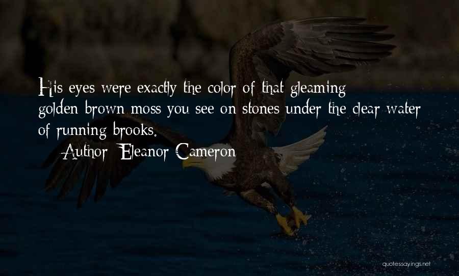 Eleanor Cameron Quotes: His Eyes Were Exactly The Color Of That Gleaming Golden-brown Moss You See On Stones Under The Clear Water Of
