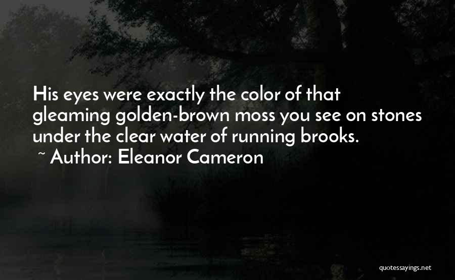 Eleanor Cameron Quotes: His Eyes Were Exactly The Color Of That Gleaming Golden-brown Moss You See On Stones Under The Clear Water Of