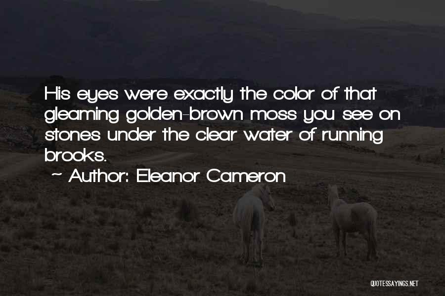 Eleanor Cameron Quotes: His Eyes Were Exactly The Color Of That Gleaming Golden-brown Moss You See On Stones Under The Clear Water Of
