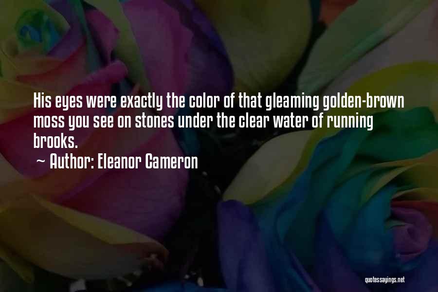 Eleanor Cameron Quotes: His Eyes Were Exactly The Color Of That Gleaming Golden-brown Moss You See On Stones Under The Clear Water Of
