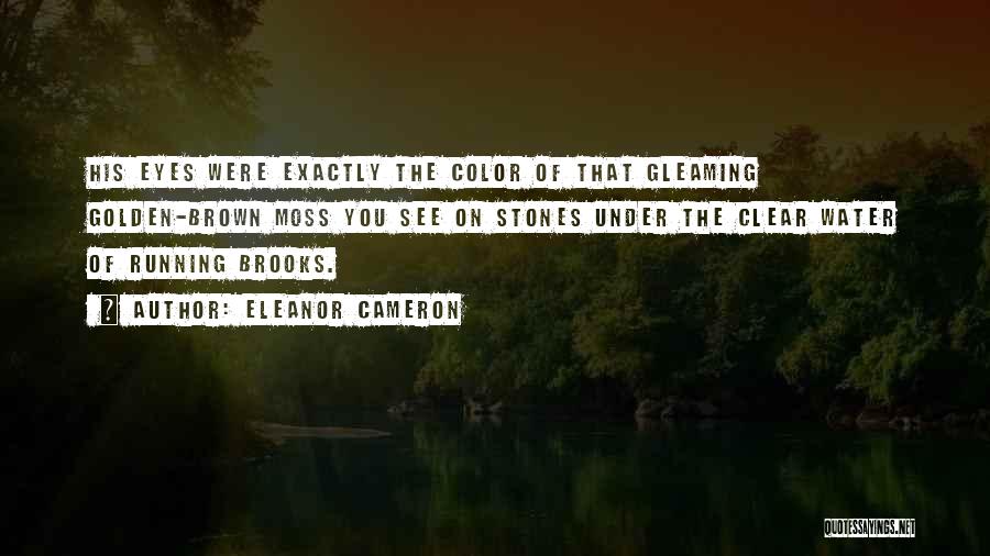 Eleanor Cameron Quotes: His Eyes Were Exactly The Color Of That Gleaming Golden-brown Moss You See On Stones Under The Clear Water Of