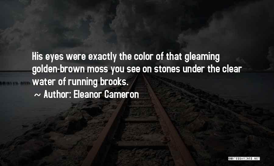 Eleanor Cameron Quotes: His Eyes Were Exactly The Color Of That Gleaming Golden-brown Moss You See On Stones Under The Clear Water Of