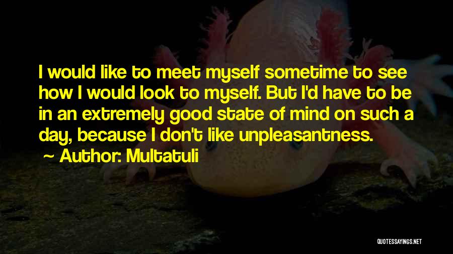 Multatuli Quotes: I Would Like To Meet Myself Sometime To See How I Would Look To Myself. But I'd Have To Be