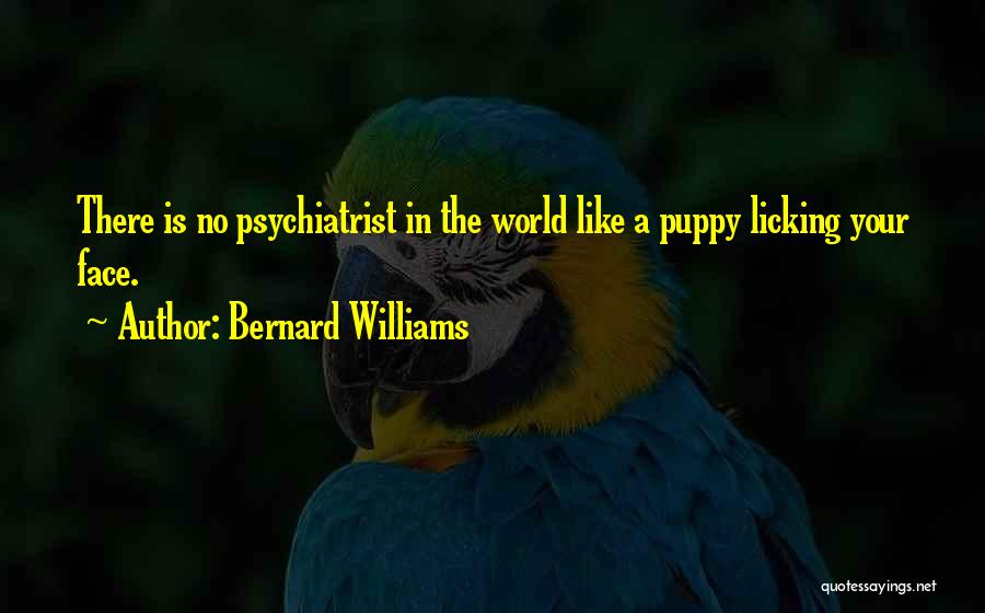 Bernard Williams Quotes: There Is No Psychiatrist In The World Like A Puppy Licking Your Face.