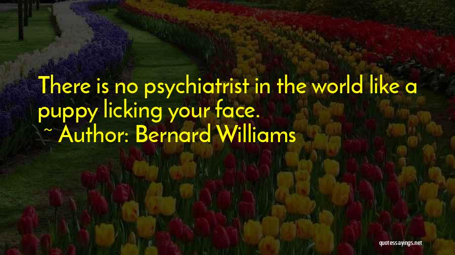 Bernard Williams Quotes: There Is No Psychiatrist In The World Like A Puppy Licking Your Face.