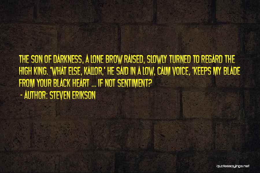 Steven Erikson Quotes: The Son Of Darkness, A Lone Brow Raised, Slowly Turned To Regard The High King. 'what Else, Kallor,' He Said