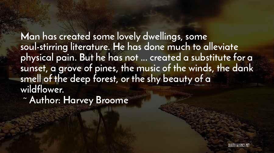 Harvey Broome Quotes: Man Has Created Some Lovely Dwellings, Some Soul-stirring Literature. He Has Done Much To Alleviate Physical Pain. But He Has