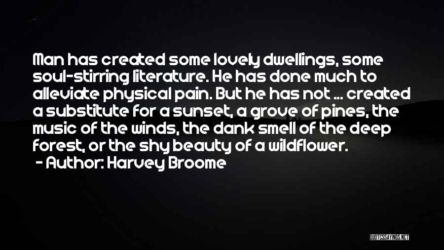Harvey Broome Quotes: Man Has Created Some Lovely Dwellings, Some Soul-stirring Literature. He Has Done Much To Alleviate Physical Pain. But He Has