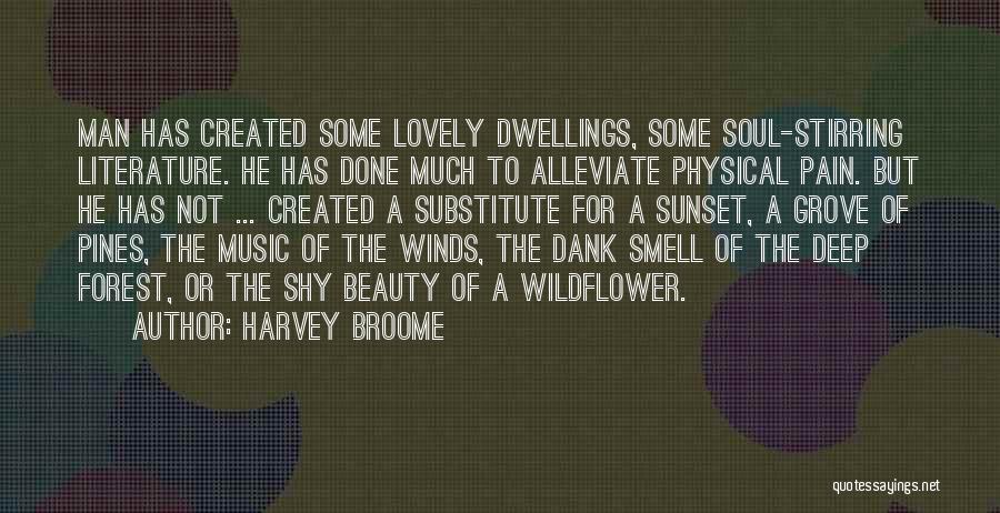 Harvey Broome Quotes: Man Has Created Some Lovely Dwellings, Some Soul-stirring Literature. He Has Done Much To Alleviate Physical Pain. But He Has