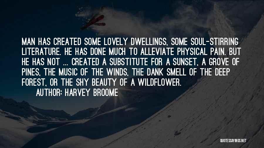 Harvey Broome Quotes: Man Has Created Some Lovely Dwellings, Some Soul-stirring Literature. He Has Done Much To Alleviate Physical Pain. But He Has