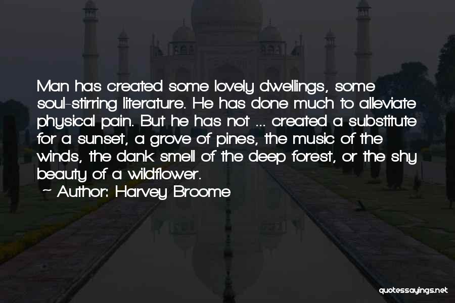 Harvey Broome Quotes: Man Has Created Some Lovely Dwellings, Some Soul-stirring Literature. He Has Done Much To Alleviate Physical Pain. But He Has