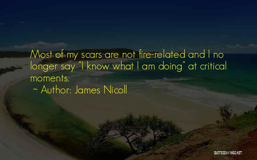 James Nicoll Quotes: Most Of My Scars Are Not Fire-related And I No Longer Say I Know What I Am Doing At Critical