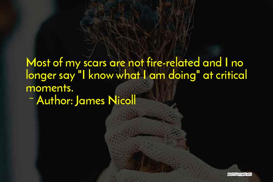 James Nicoll Quotes: Most Of My Scars Are Not Fire-related And I No Longer Say I Know What I Am Doing At Critical