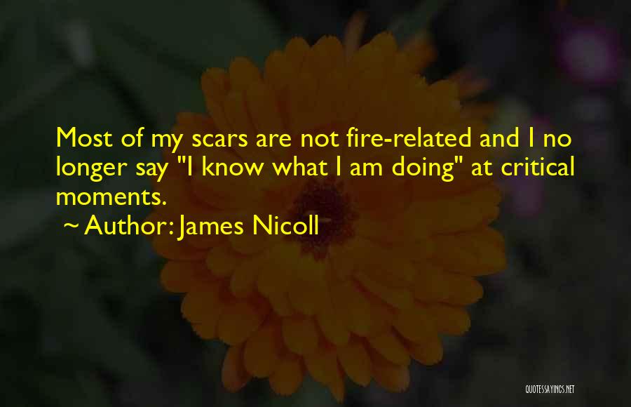 James Nicoll Quotes: Most Of My Scars Are Not Fire-related And I No Longer Say I Know What I Am Doing At Critical