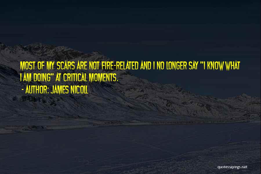 James Nicoll Quotes: Most Of My Scars Are Not Fire-related And I No Longer Say I Know What I Am Doing At Critical