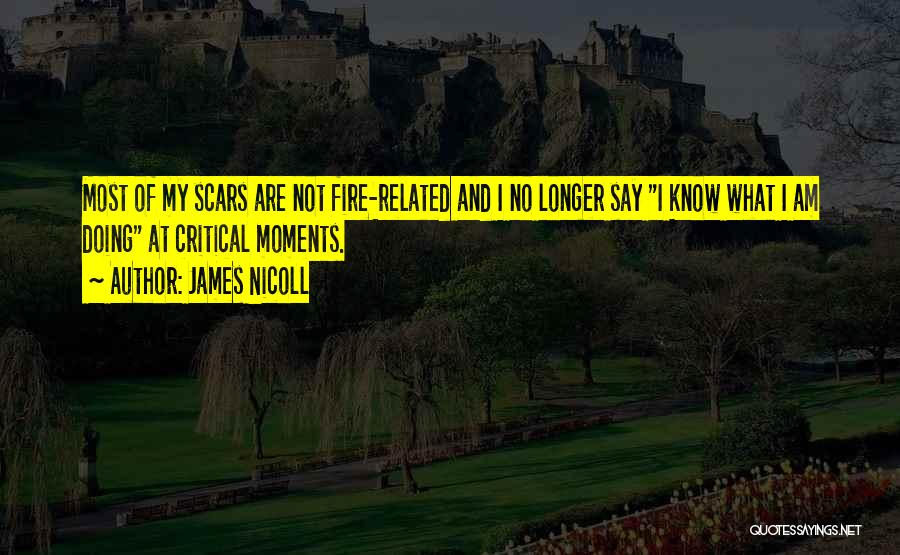 James Nicoll Quotes: Most Of My Scars Are Not Fire-related And I No Longer Say I Know What I Am Doing At Critical
