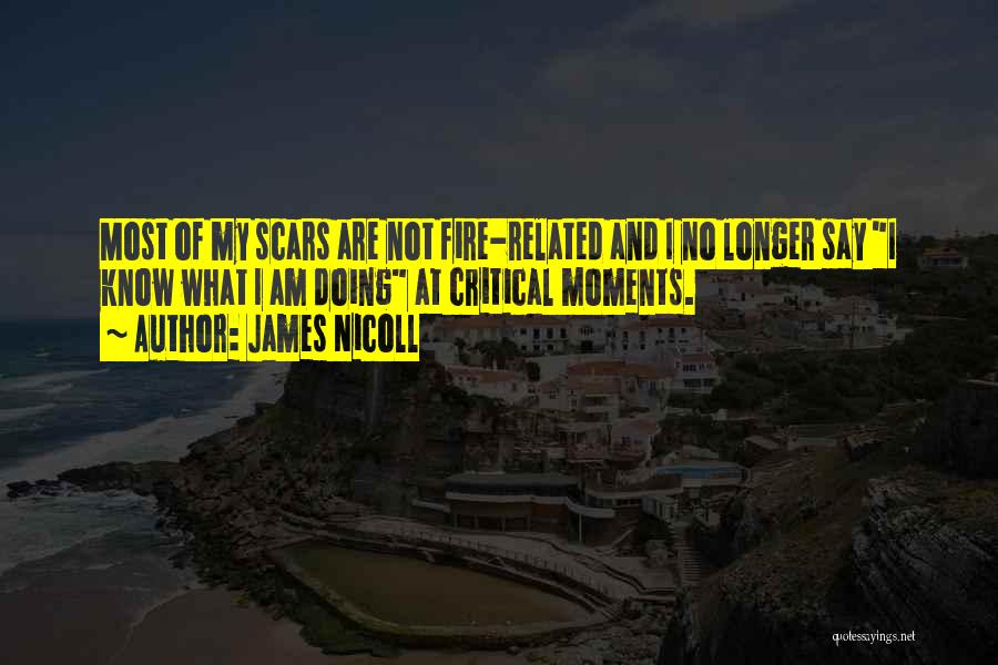 James Nicoll Quotes: Most Of My Scars Are Not Fire-related And I No Longer Say I Know What I Am Doing At Critical