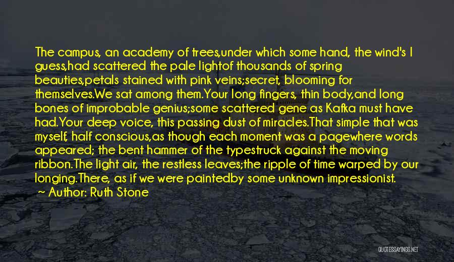 Ruth Stone Quotes: The Campus, An Academy Of Trees,under Which Some Hand, The Wind's I Guess,had Scattered The Pale Lightof Thousands Of Spring