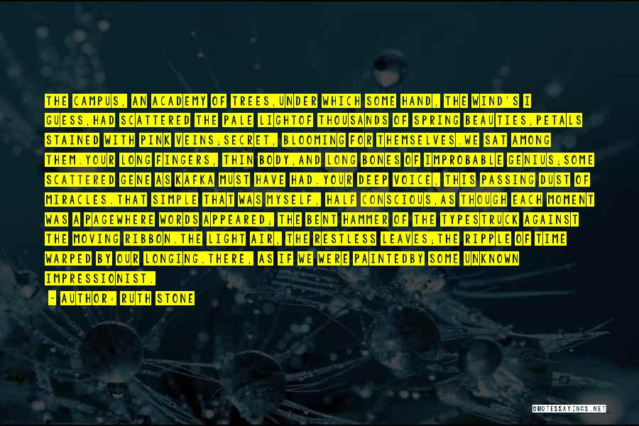 Ruth Stone Quotes: The Campus, An Academy Of Trees,under Which Some Hand, The Wind's I Guess,had Scattered The Pale Lightof Thousands Of Spring