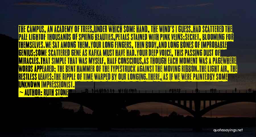 Ruth Stone Quotes: The Campus, An Academy Of Trees,under Which Some Hand, The Wind's I Guess,had Scattered The Pale Lightof Thousands Of Spring