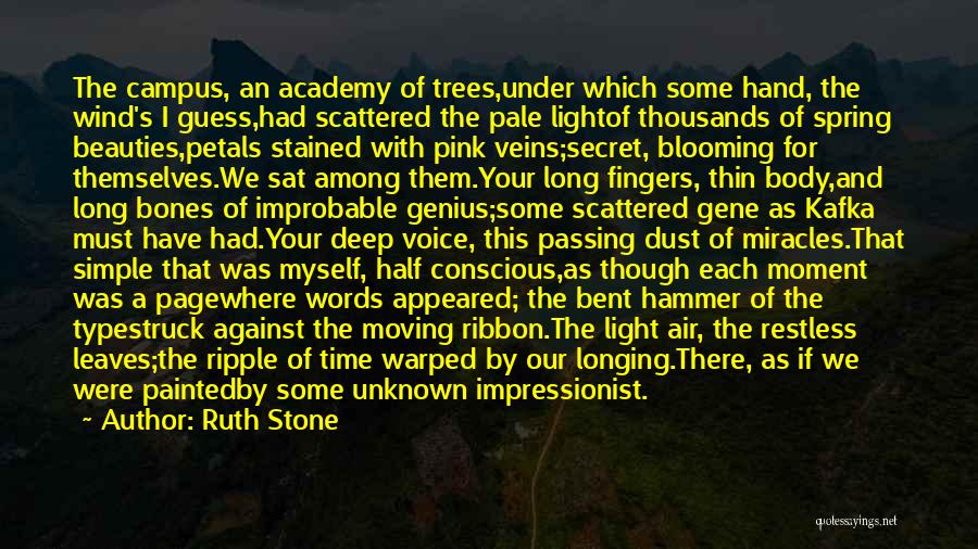 Ruth Stone Quotes: The Campus, An Academy Of Trees,under Which Some Hand, The Wind's I Guess,had Scattered The Pale Lightof Thousands Of Spring