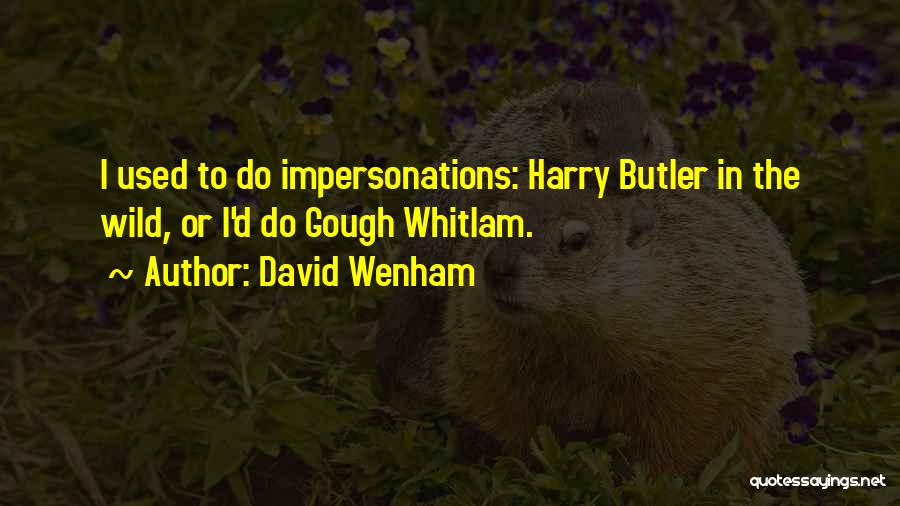 David Wenham Quotes: I Used To Do Impersonations: Harry Butler In The Wild, Or I'd Do Gough Whitlam.