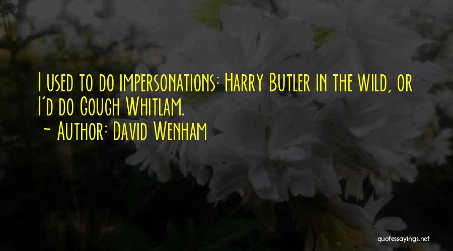 David Wenham Quotes: I Used To Do Impersonations: Harry Butler In The Wild, Or I'd Do Gough Whitlam.