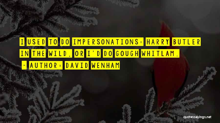 David Wenham Quotes: I Used To Do Impersonations: Harry Butler In The Wild, Or I'd Do Gough Whitlam.