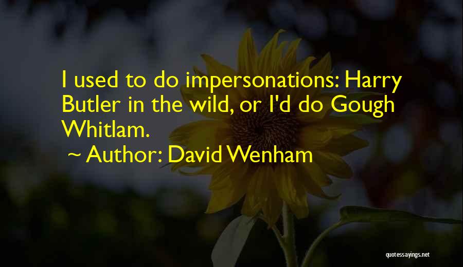 David Wenham Quotes: I Used To Do Impersonations: Harry Butler In The Wild, Or I'd Do Gough Whitlam.