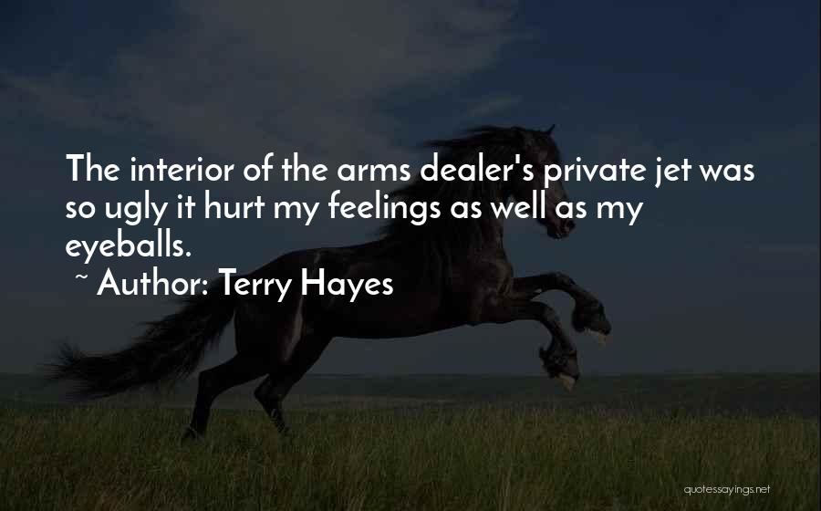 Terry Hayes Quotes: The Interior Of The Arms Dealer's Private Jet Was So Ugly It Hurt My Feelings As Well As My Eyeballs.