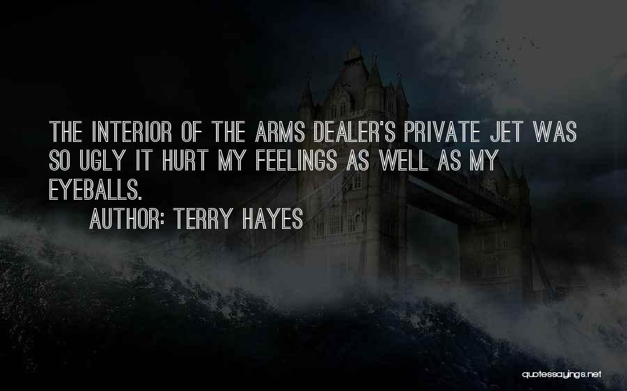 Terry Hayes Quotes: The Interior Of The Arms Dealer's Private Jet Was So Ugly It Hurt My Feelings As Well As My Eyeballs.