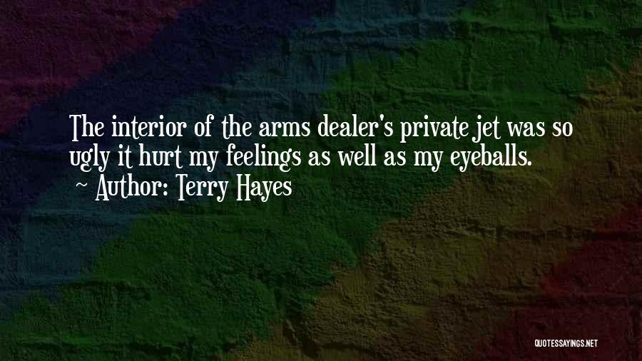 Terry Hayes Quotes: The Interior Of The Arms Dealer's Private Jet Was So Ugly It Hurt My Feelings As Well As My Eyeballs.